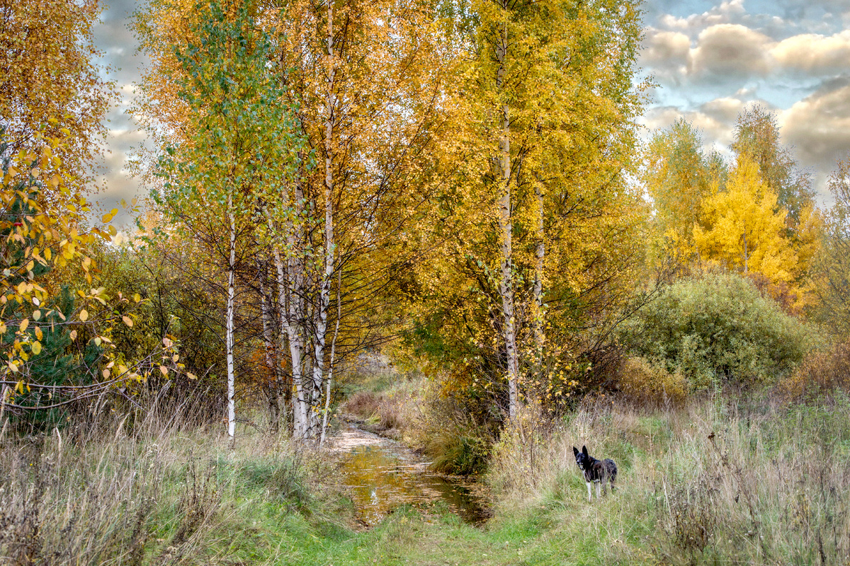 фото:Sergey Metelitsa/Global Look Press