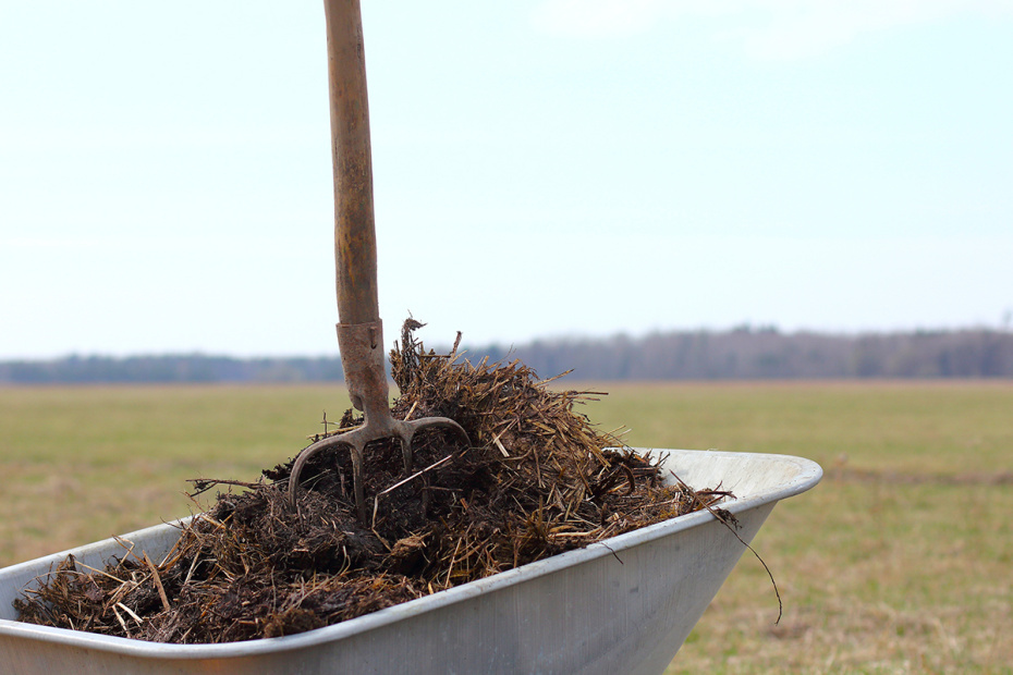    Shutterstock/FOTODOM
