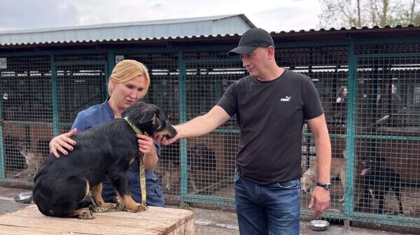    © Photo : Пресс-служба главы и правительства РСО-Алания