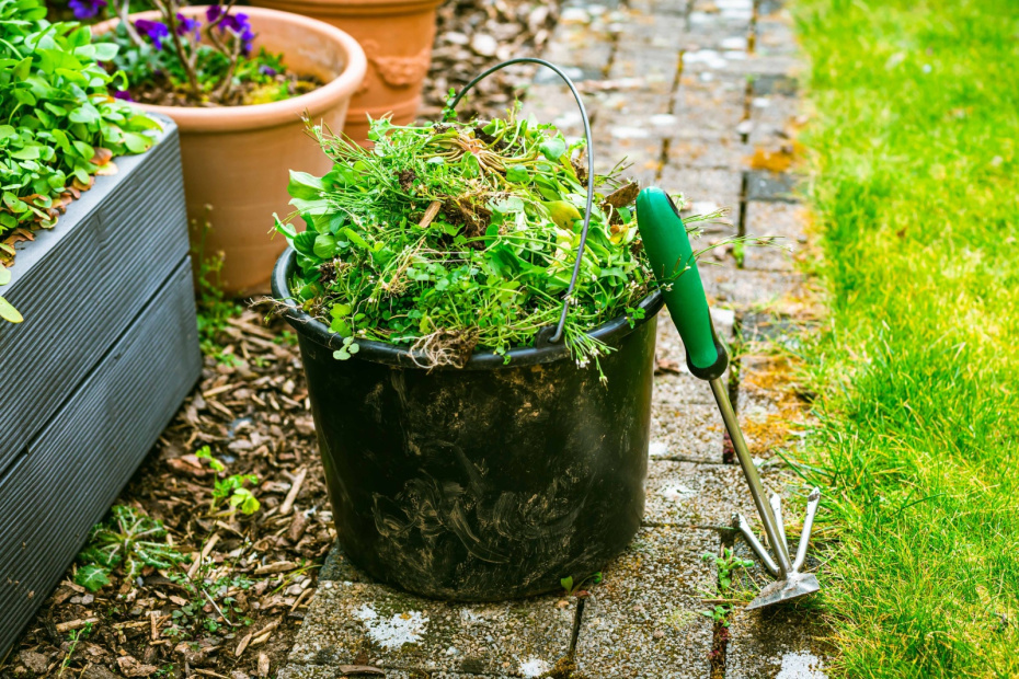    Shutterstock/FOTODOM