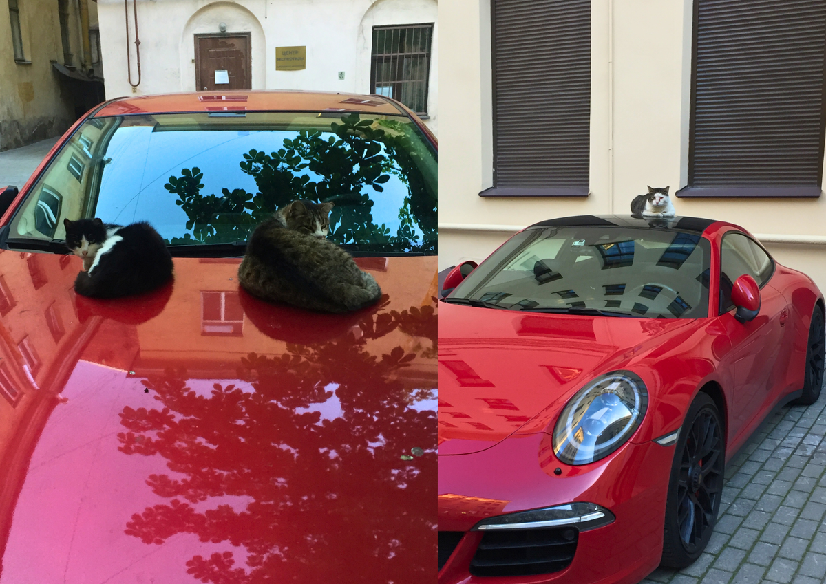 Не главные представители "БОРЗ"