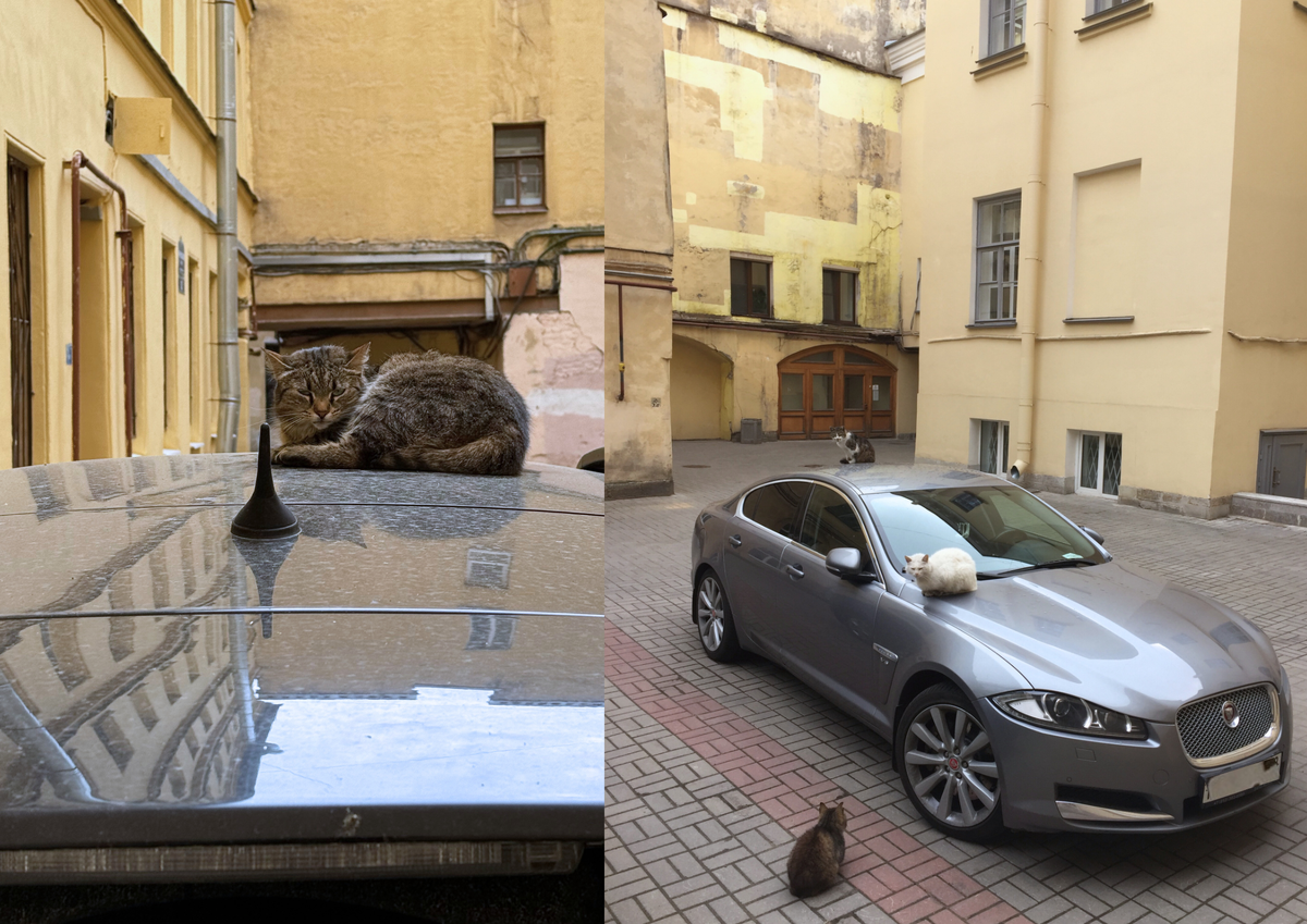 "БОРЗ" в деле.