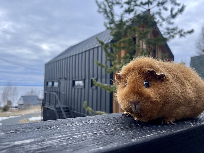 База отдыха ALDI-Karelia: идеальные каникулы в Карелии