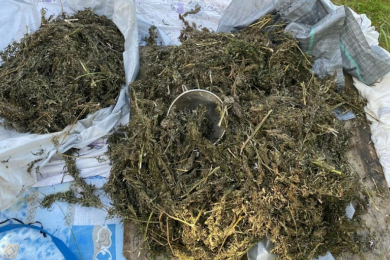 В Тверской области полиция забрала у мужчины несколько килограммов конопли