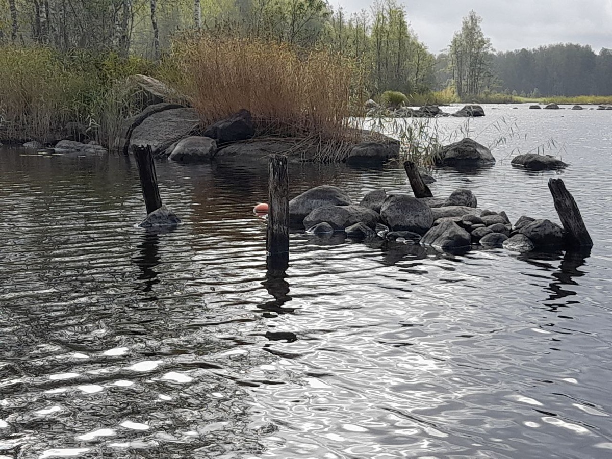 Остатки финского моста. В 2024 году всё это было скрыто под водой. фото автора