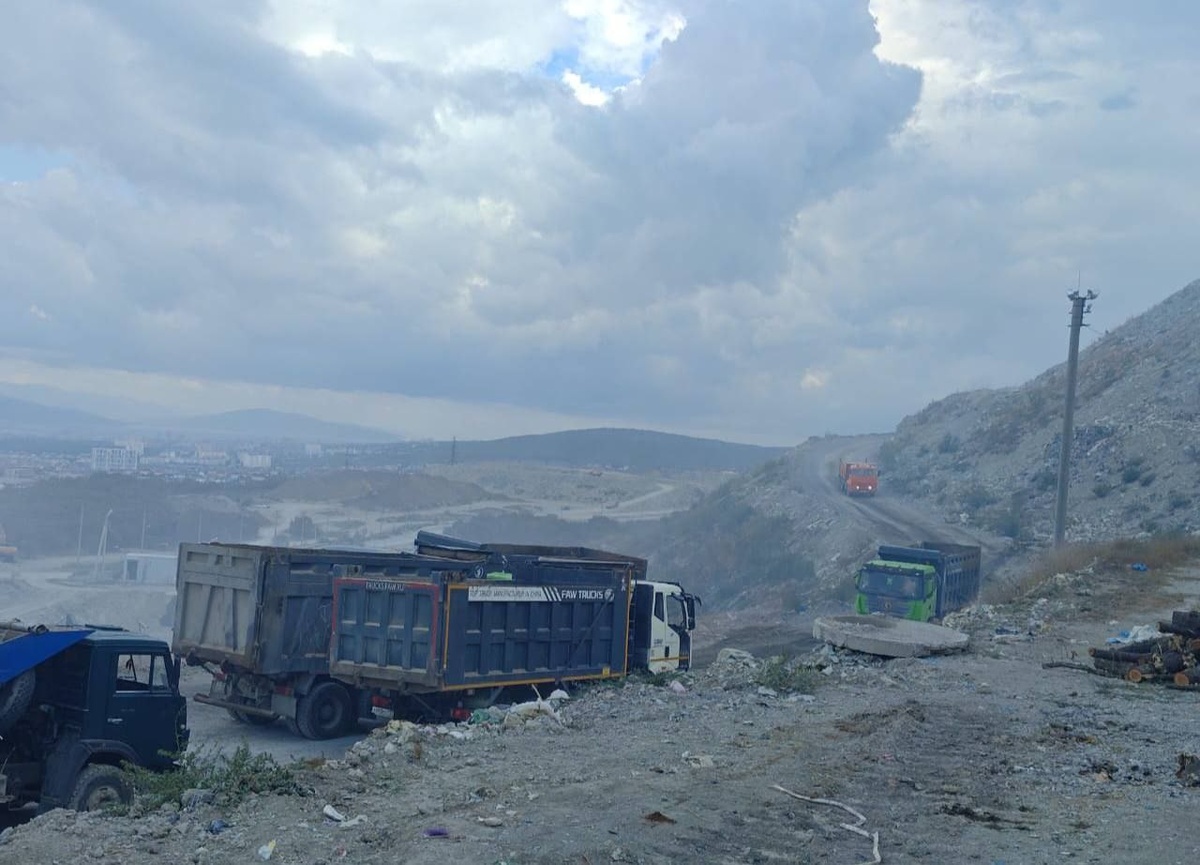    Фото: МЦУ Новороссийска