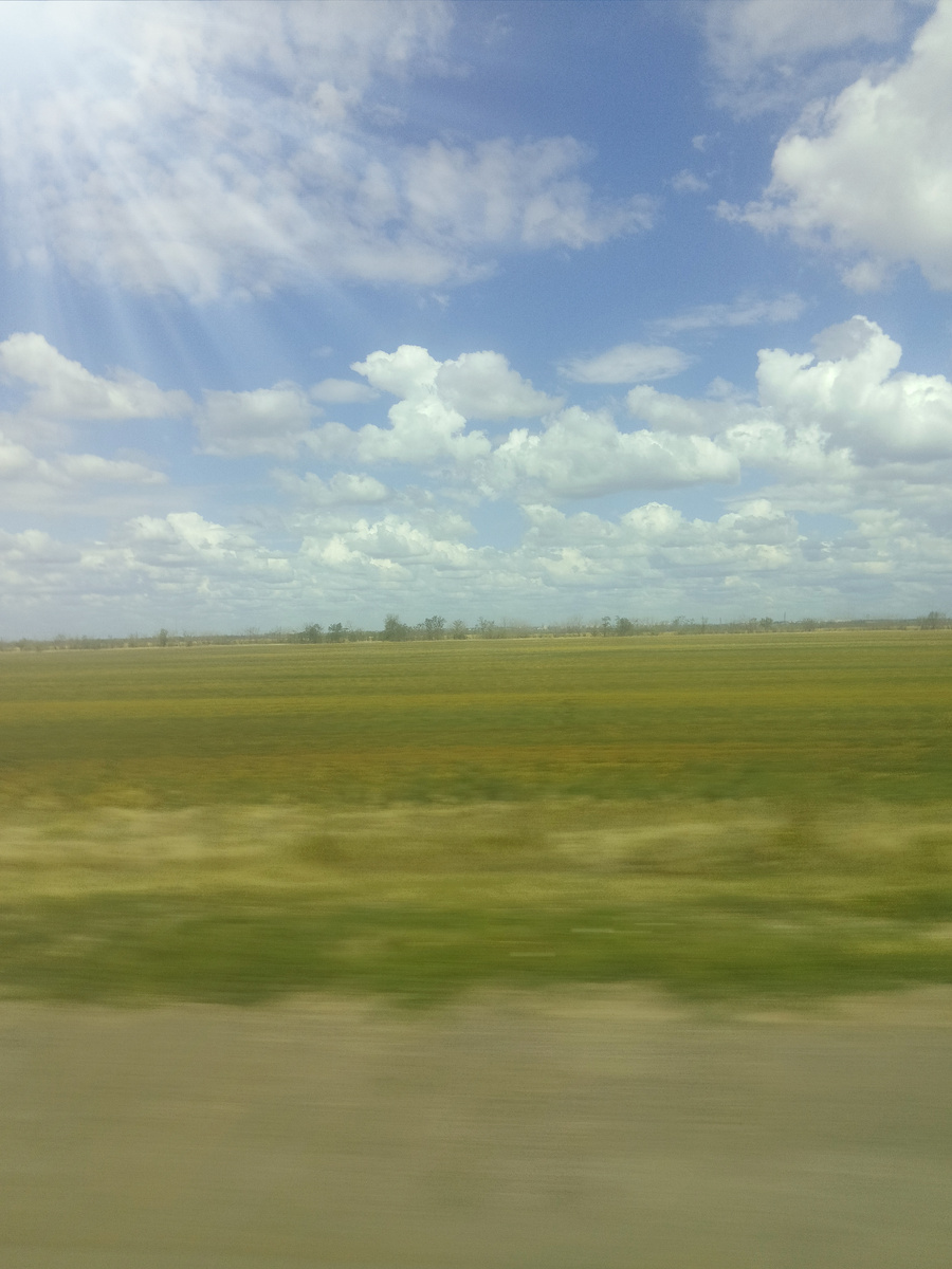 Вид из окна автобуса