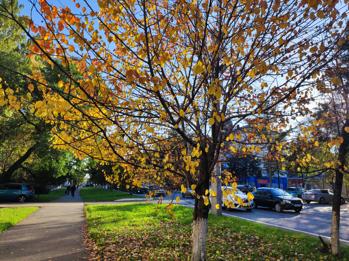 Фото автора 