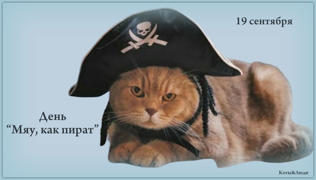 Коллаж автора