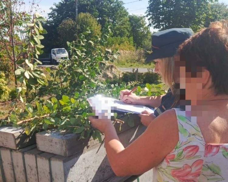     «Костёр за 10 тысяч»: курян штрафуют за сжигание травы и мусора