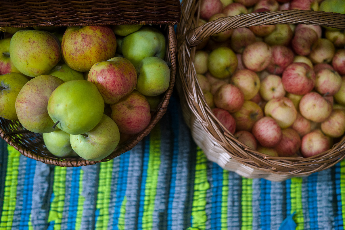 Наши яблоки этого года (часть). Сентябрь - время яблок, время урожая. Фото автора