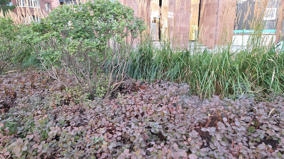 Фото автора, осенний ландшафт.