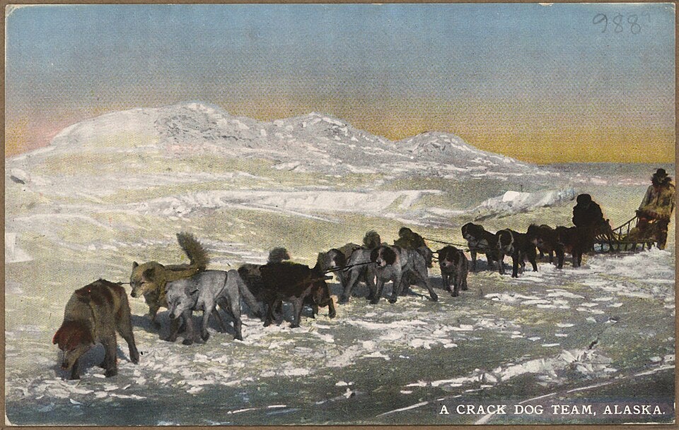 Почтовые собаки