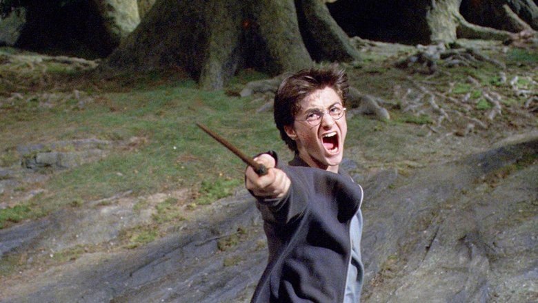 Гарри наводит порядок на полках магазина