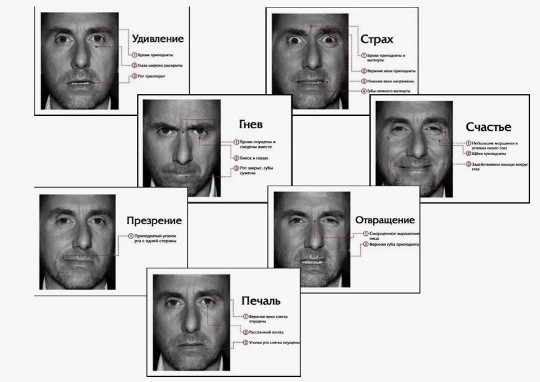 7 базовых эмоций человека. Картинка взята с просторов Интернета
