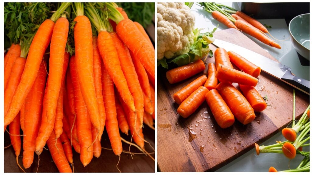    Фото: https://unsplash.com