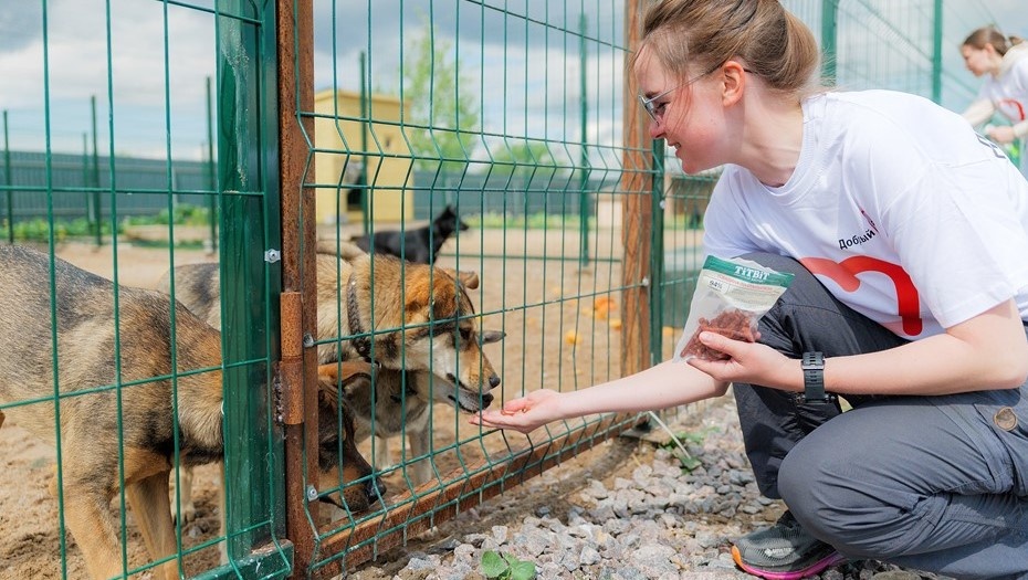    Автор фото: Валентин Беликов