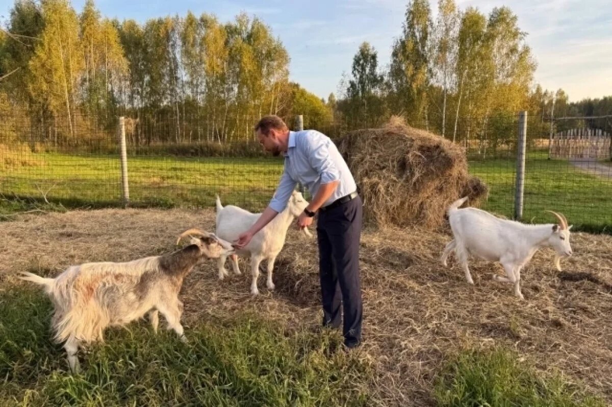    Нижегородское Минэкологии прокомментировало ситуацию на экотропе «Копорье»