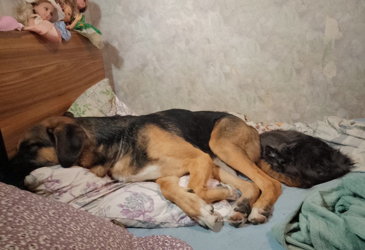 Очень страшная БЧС. Прямо видно, как Варя боится