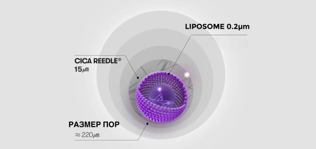 Активные вещества дробятся на очень мелкие частицы и постепенно проникают всё глубже в кожу. Этот процесс повторяется трижды, при каждом шаге частицы становятся ещё меньше и превращаются в липосомы — крошечные капсулы, которые несут полезные компоненты. 