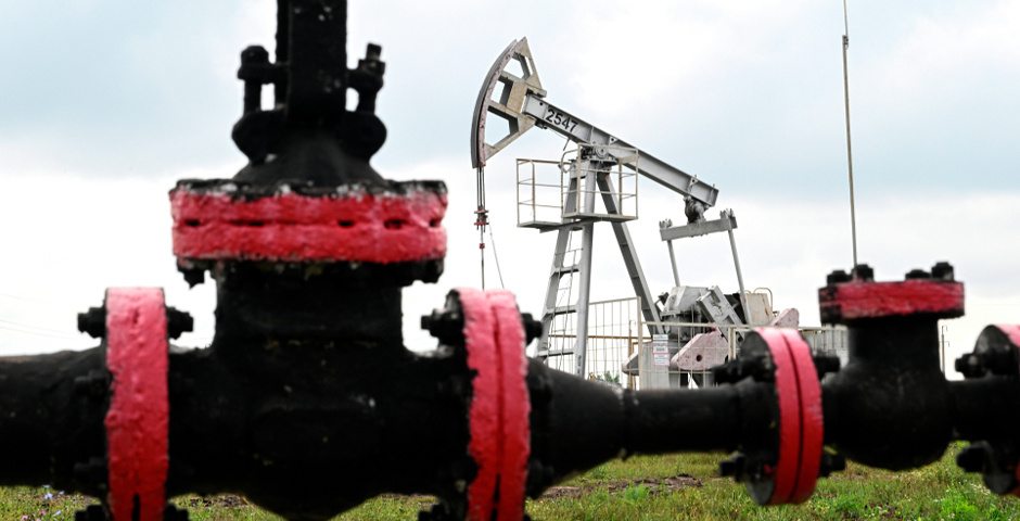 Фото: Максим Богодвид/РИА Новости