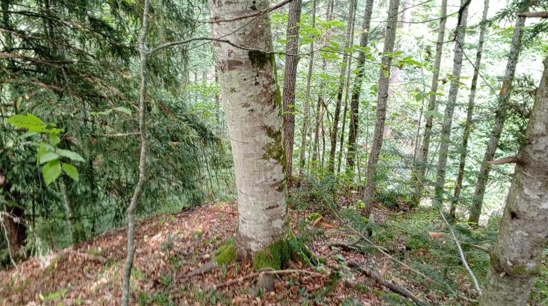 Стрелка. Фото авторов