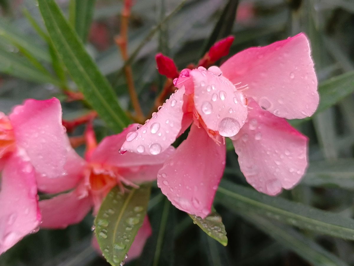 Адлер, сентябрь 2025 года