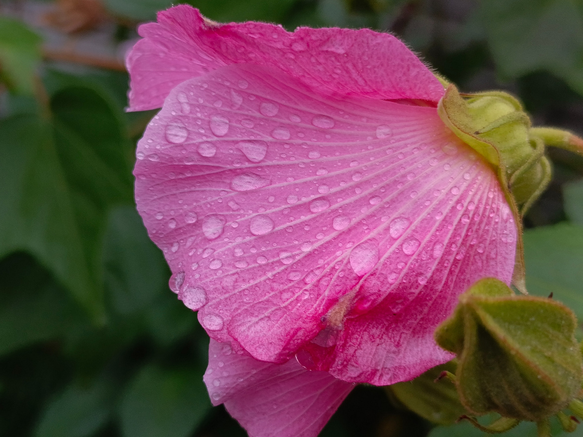 Адлер, сентябрь 2025 года