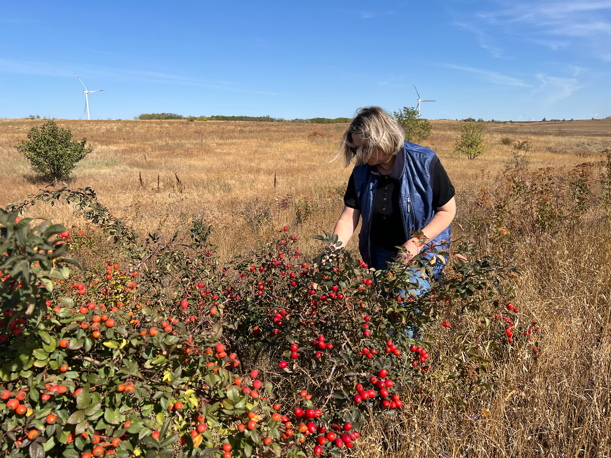 16 сентября 2025 г.