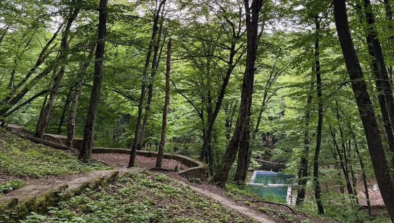      Фото: Администрация Ставрополя