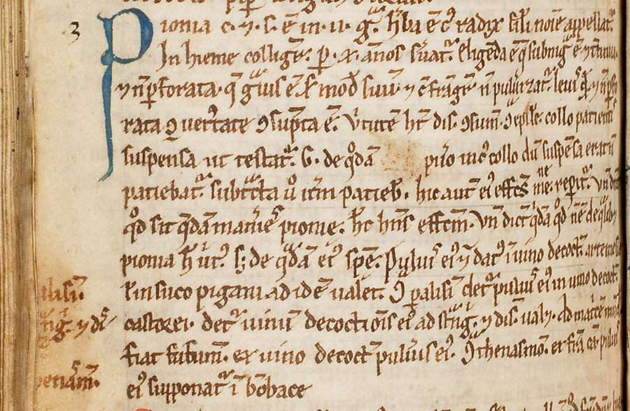 Фрагмент рукописи «Circa instans» 1175 года, с главой о Пионе. Ссылка на изображение: https://archive.org/details/circainstans00plat/page/113/mode/2up