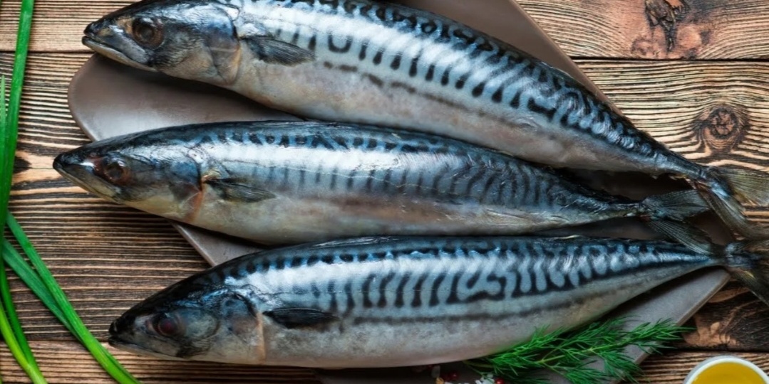 Маринованная скумбрия по домашнему. Нежная, ароматная с луковыми нотками, пряностами и пикантной кислинкой.