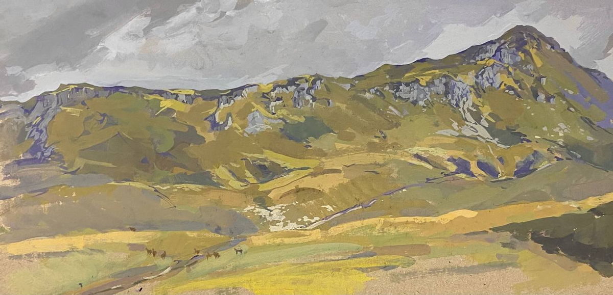 Инструкторская щель с лошадками.