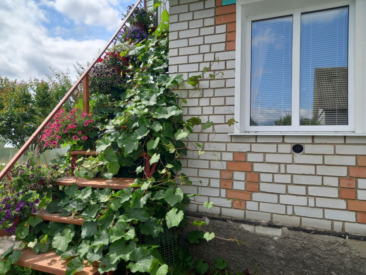 Дом, который держал меня дома))