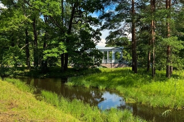    Фото: ecospbcom.ru