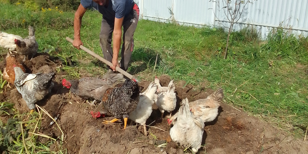 Конкурс на лучший колеус и будни упертых труженников на исходе сентября...