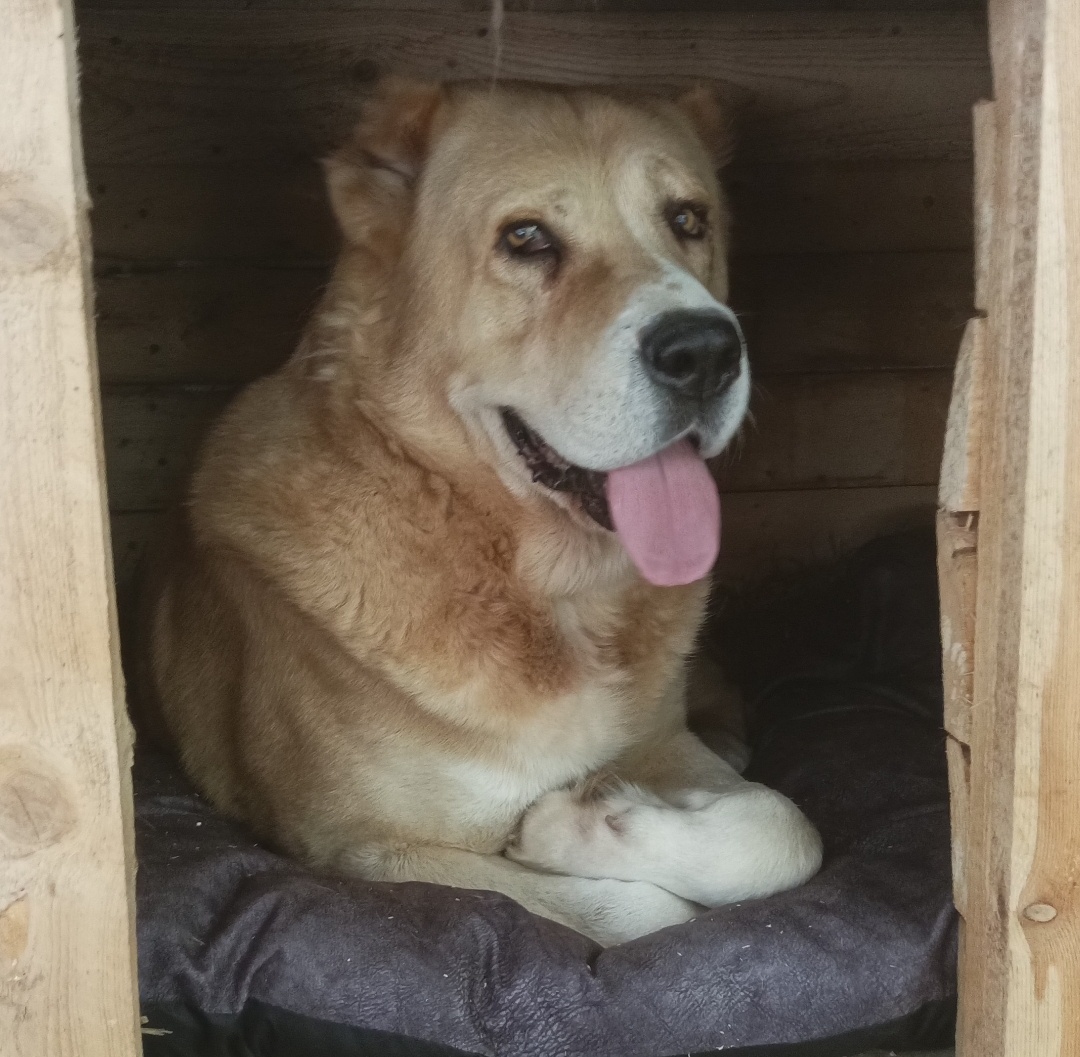 Вулкан облюбовал свой новый матрасик