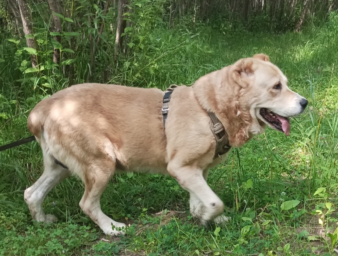 На прогулке