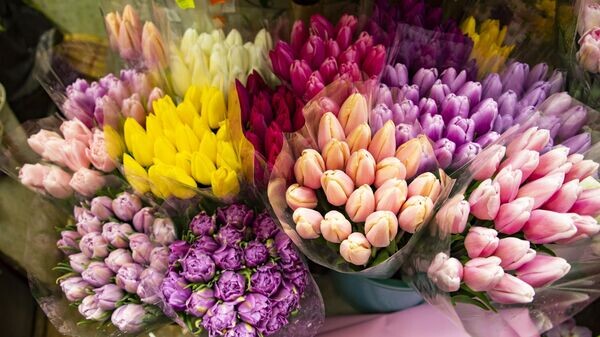    © РИА Новости Крым . Дмитрий Макеев