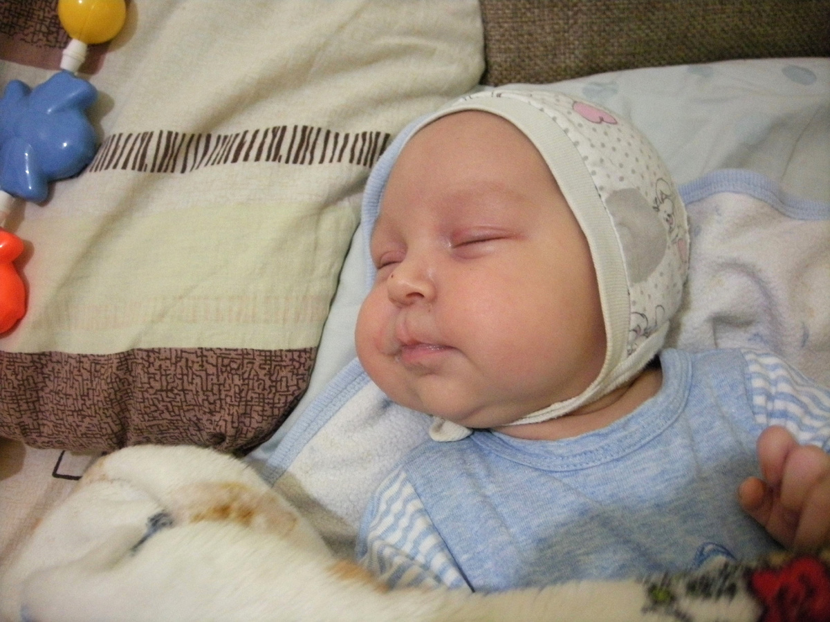 Фото автора