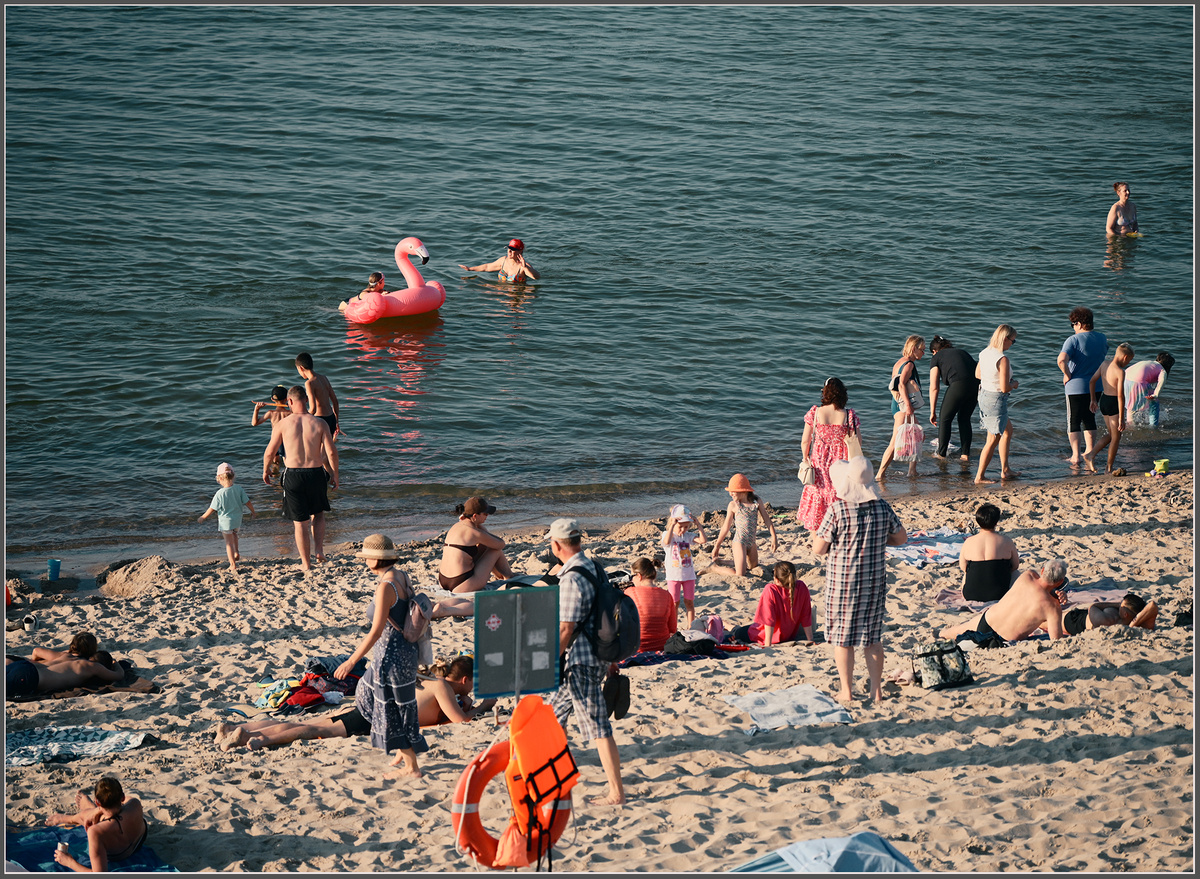 Фото: М. Рябинин