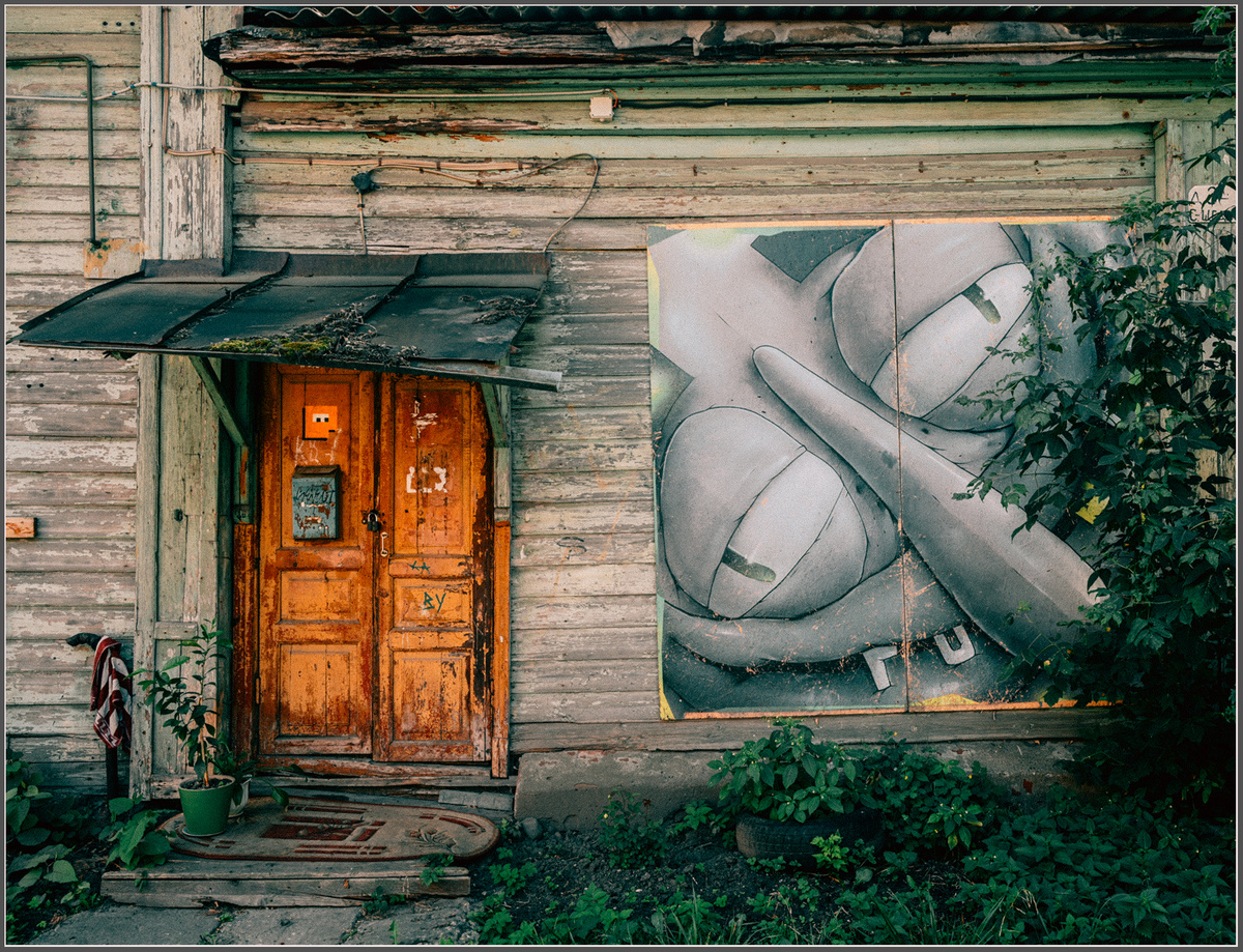 Фото: М. Рябинин