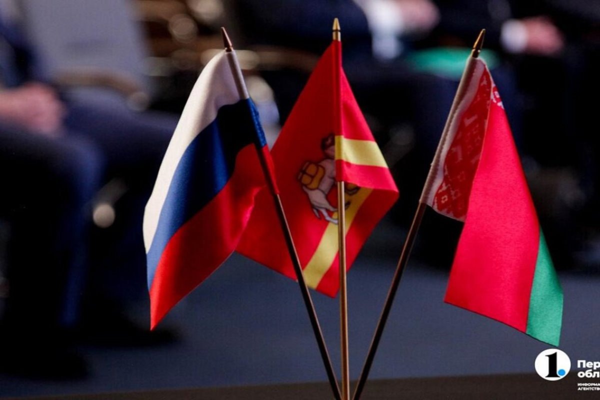    Фото: ИА «Первое областное», источник: 1obl.ru