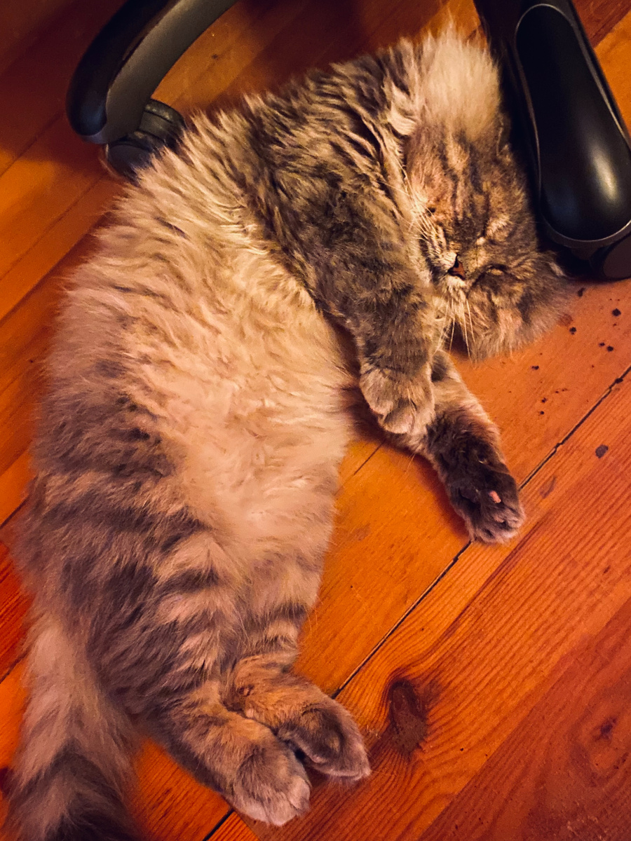 Ну вот как так можно спать!