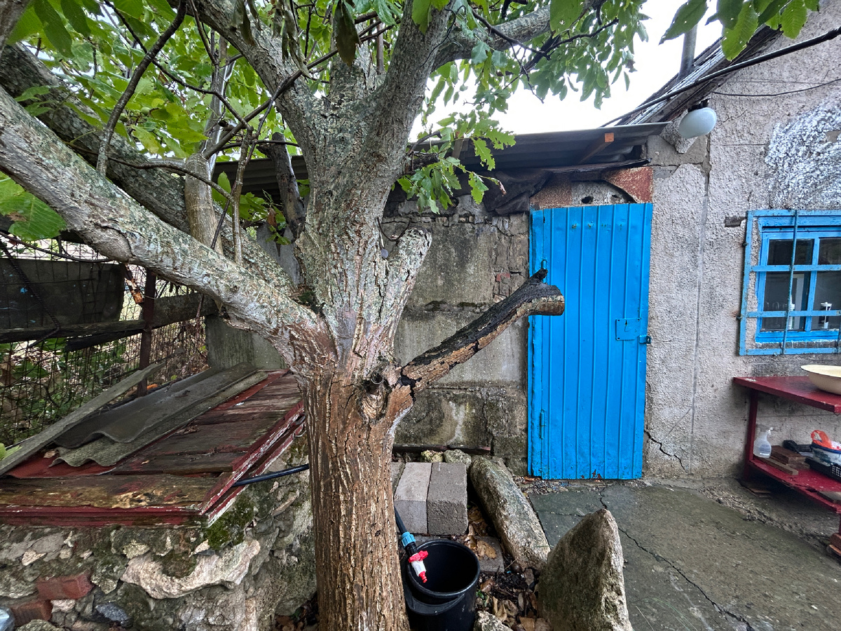 Вот такой пристрой к домику