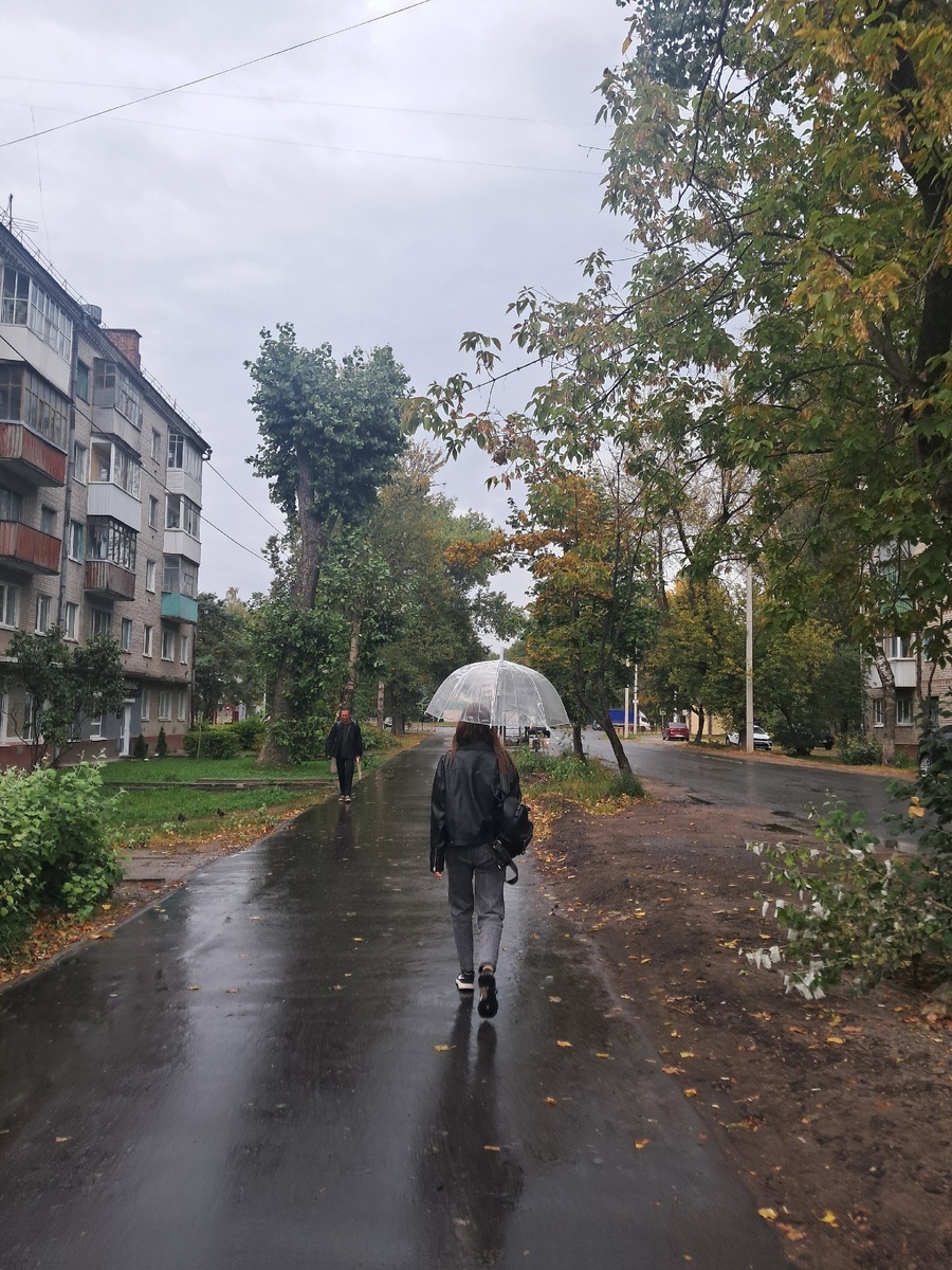 Осень в полном разгаре