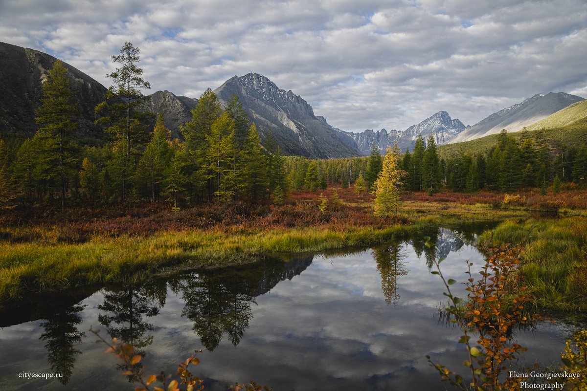 Фото: Елена Георгиевская / City Escape 