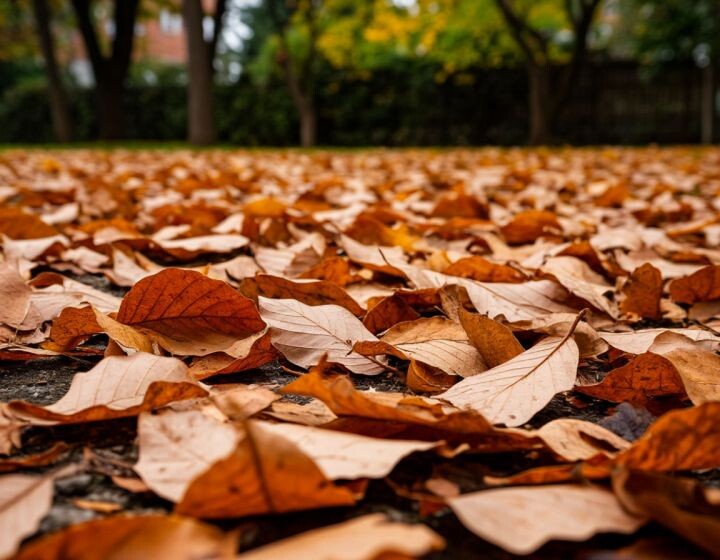    Фото: сгенерировано ии