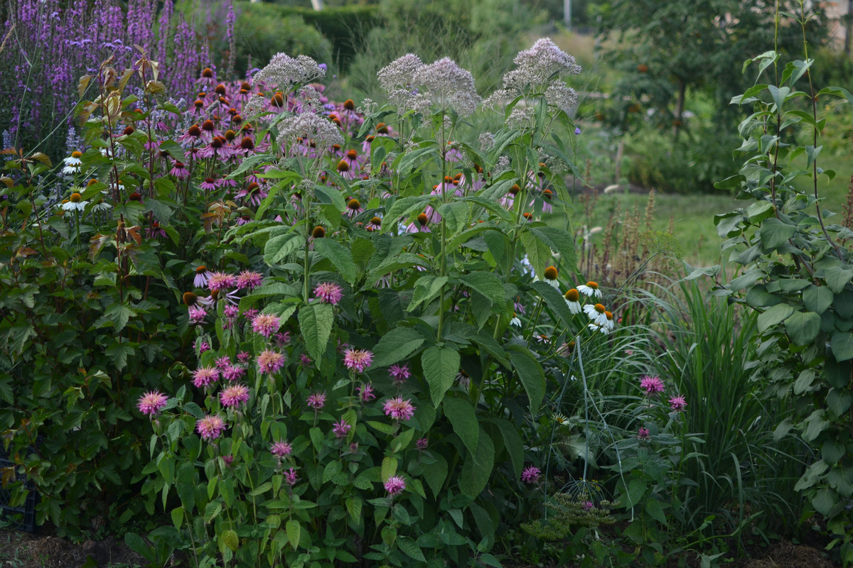 Две фотографии, листайте