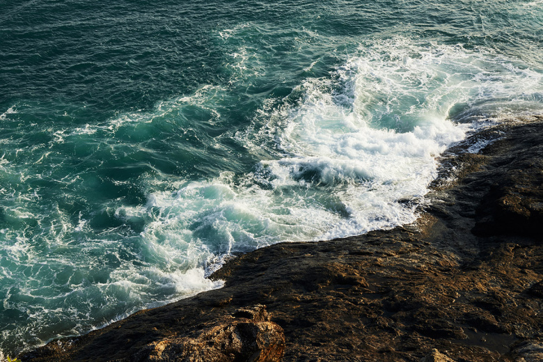    Shutterstock/FOTODOM